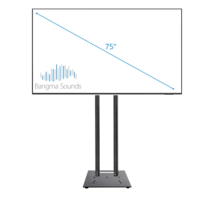 Samsung 75 inch scherm
